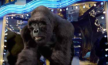 Image result for DISNEY MIGHTY JOE YOUNG gifS