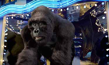 Image result for DISNEY MIGHTY JOE YOUNG gifS