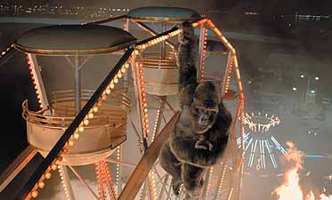 Image result for DISNEY MIGHTY JOE YOUNG gifS